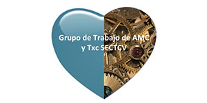 Grupo Trabajo AMC y Txc SECTCV